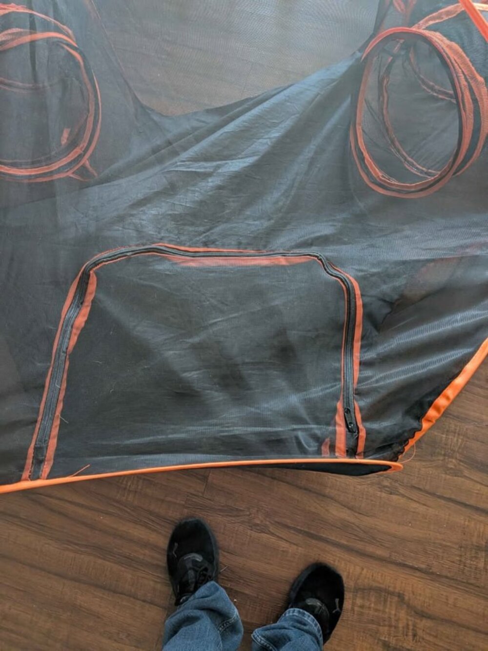 Catio - Picture 3 of 8